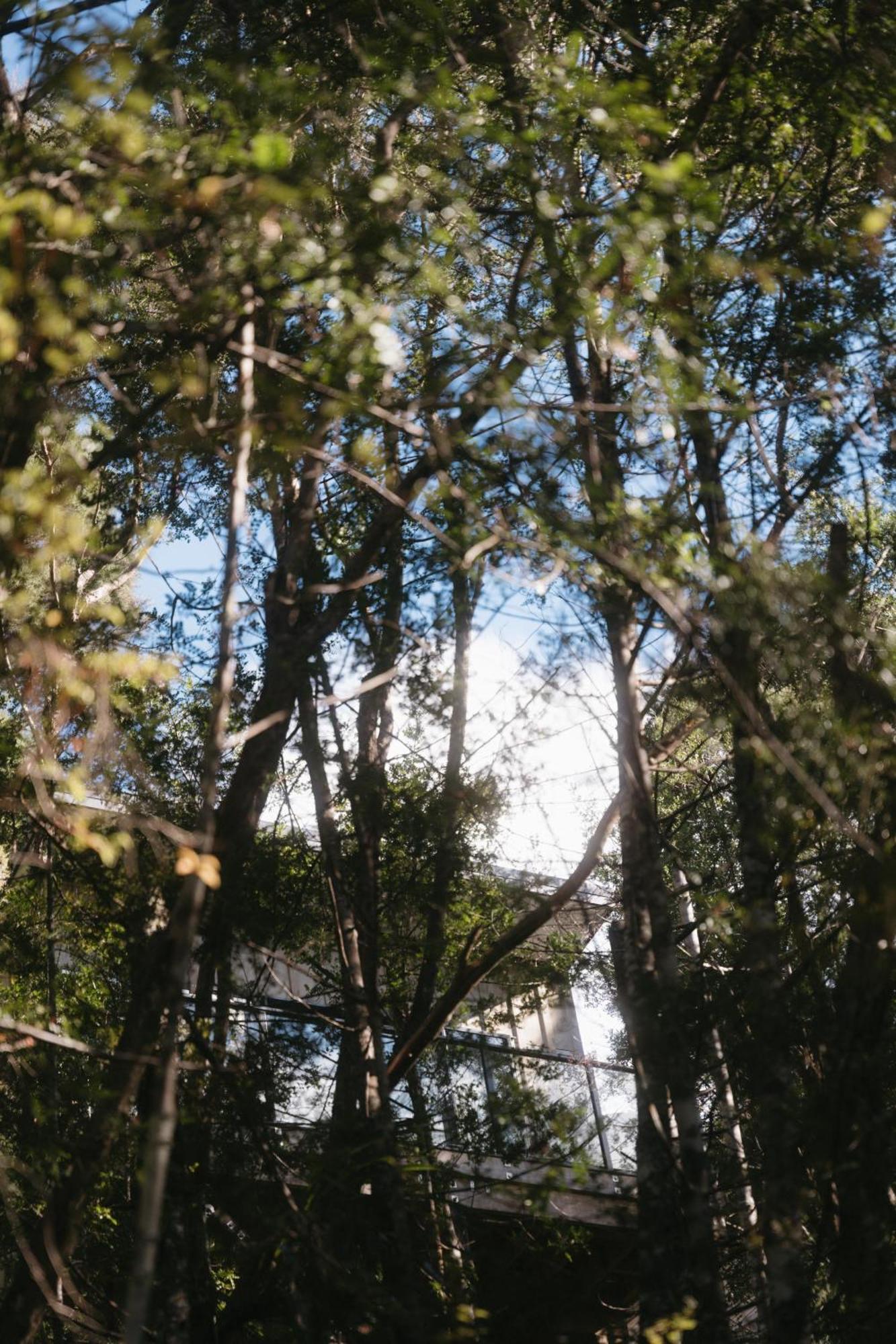 Treetop Tranquility At Rekindle Tree Houses Opua Exterior photo