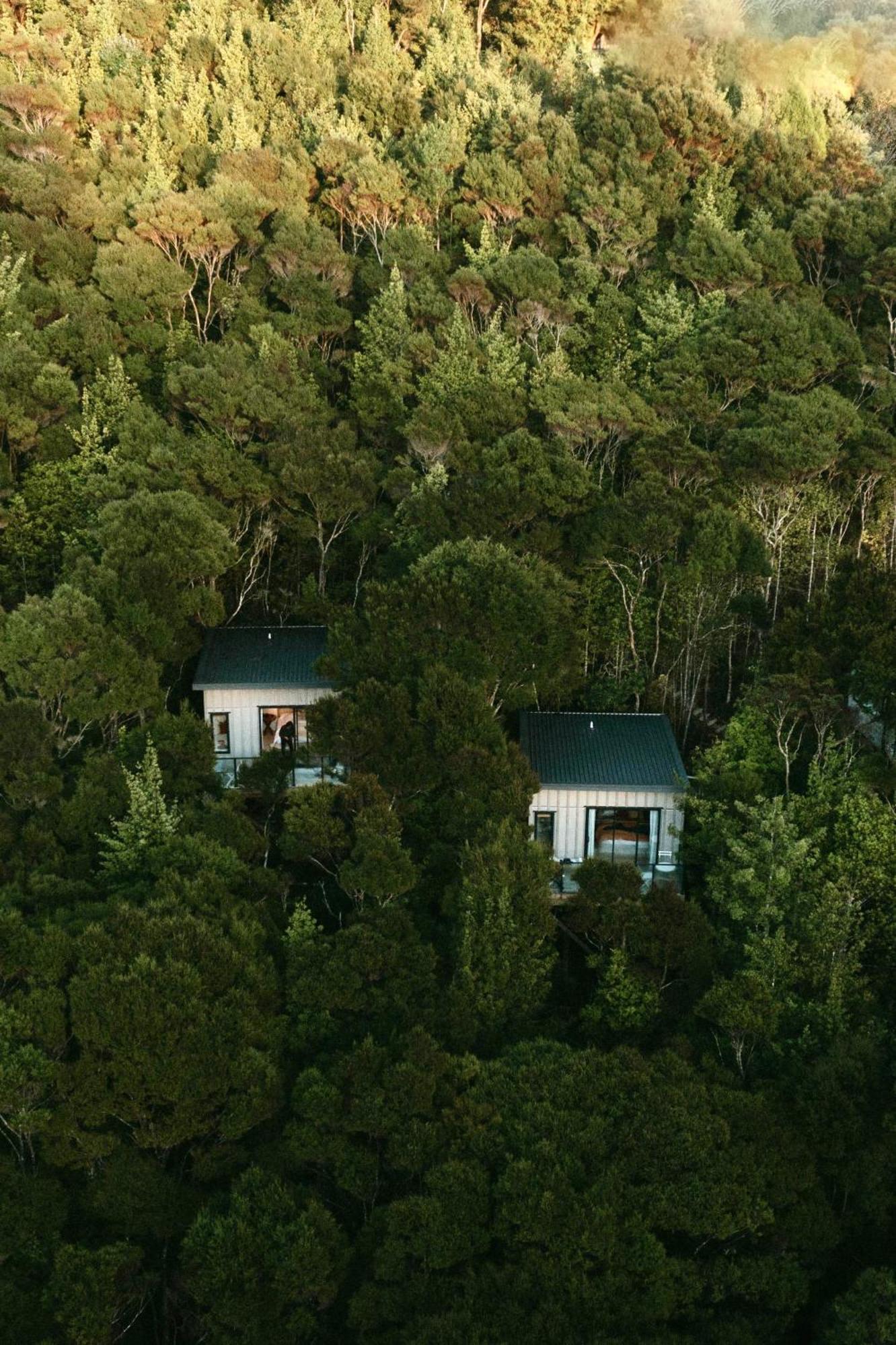 Treetop Tranquility At Rekindle Tree Houses Opua Exterior photo